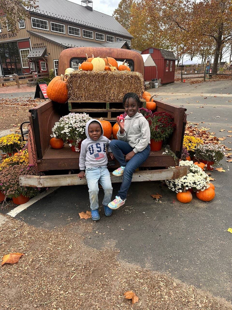 Discovery Barnyard & Play Areas