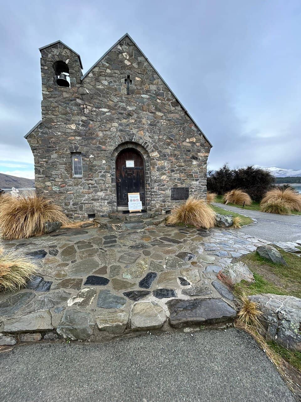 Lupin Fields in Spring