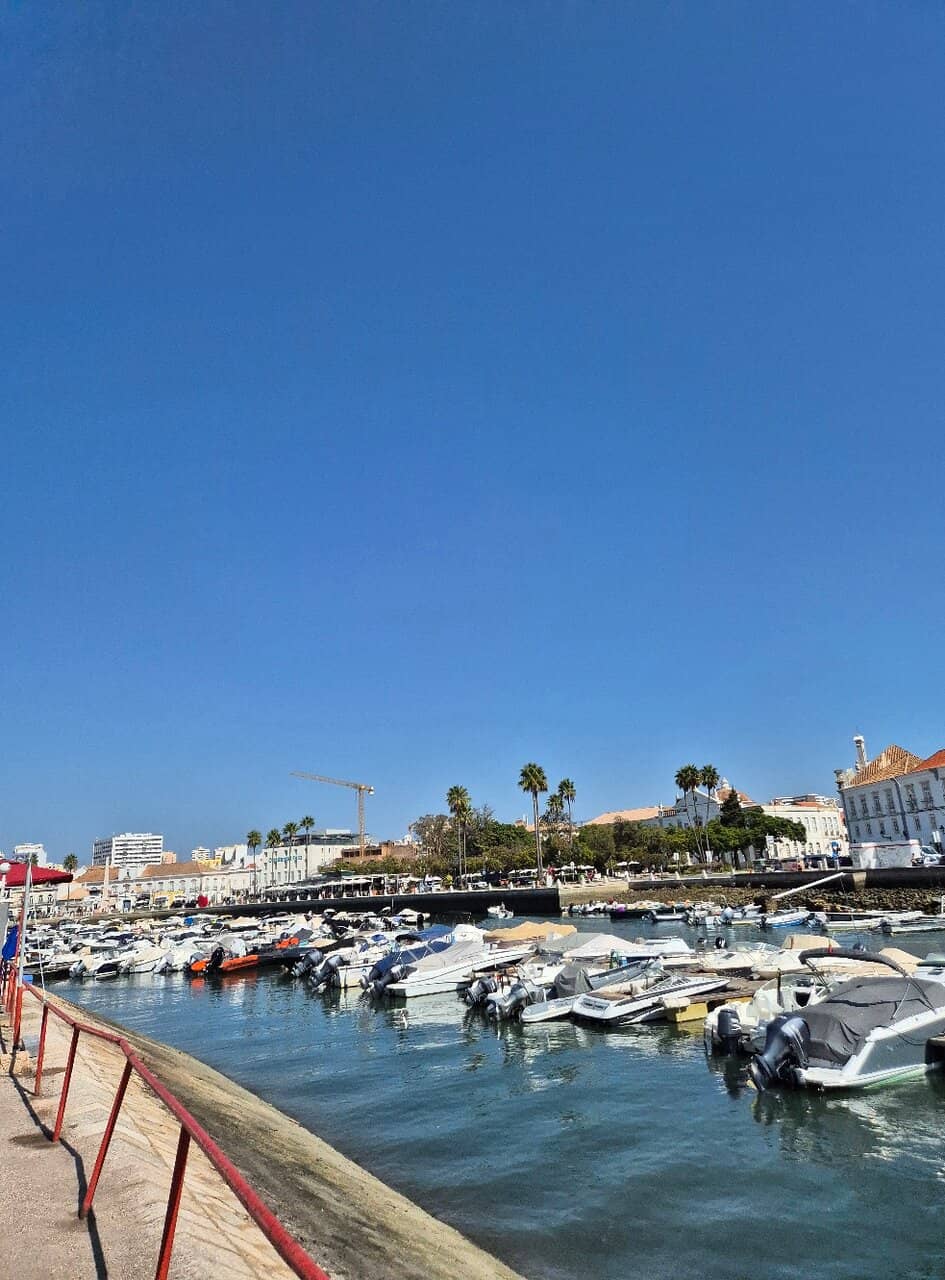 Refreshing Poolside Relaxation