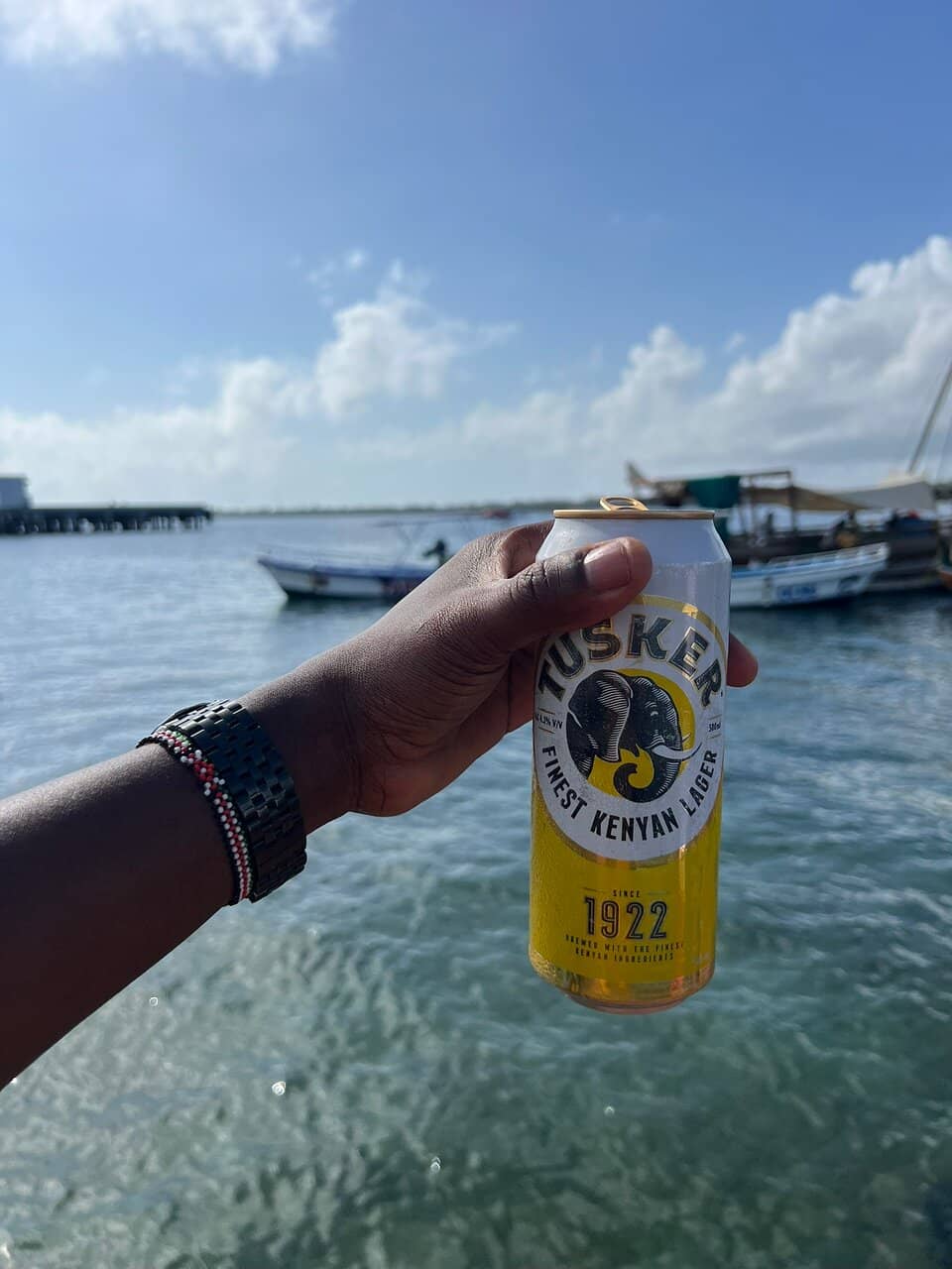 Dhow Cruise Experience