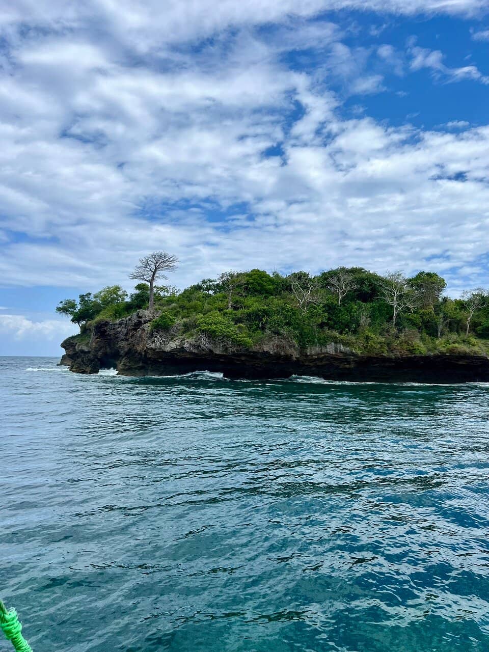 Dolphin Watching Excursions