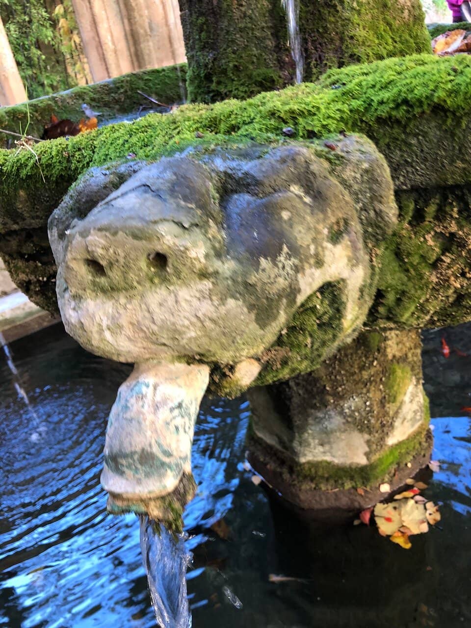 The Miraculous Barrels