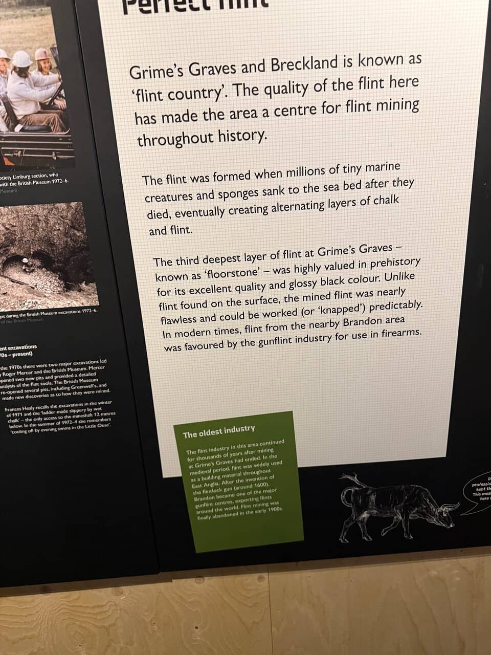 Neolithic Flint Mine Exhibition