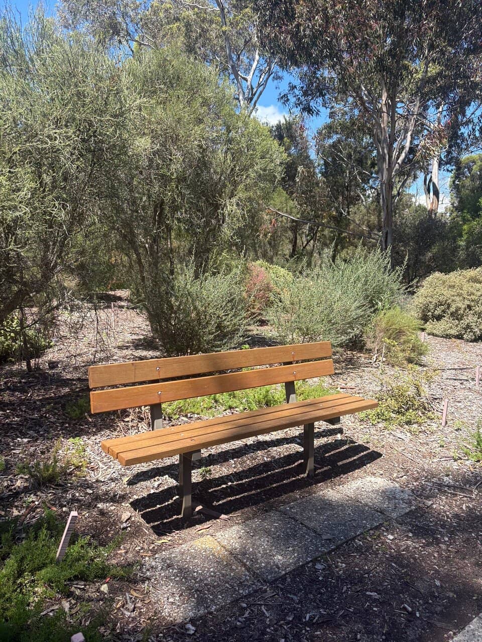 South African & Australian Flora