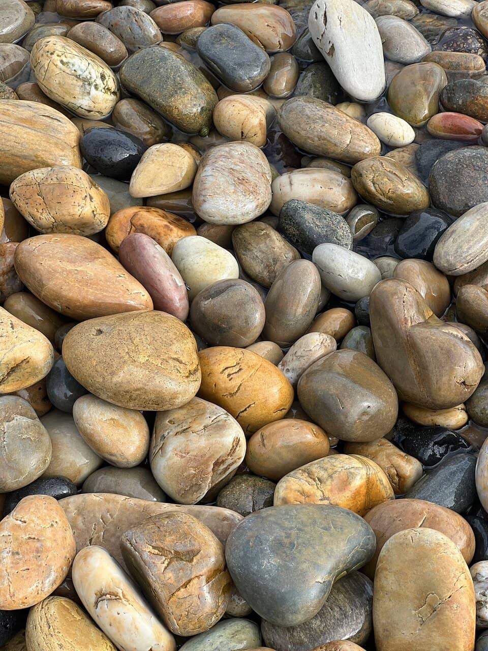 Volunteer Guide Insights