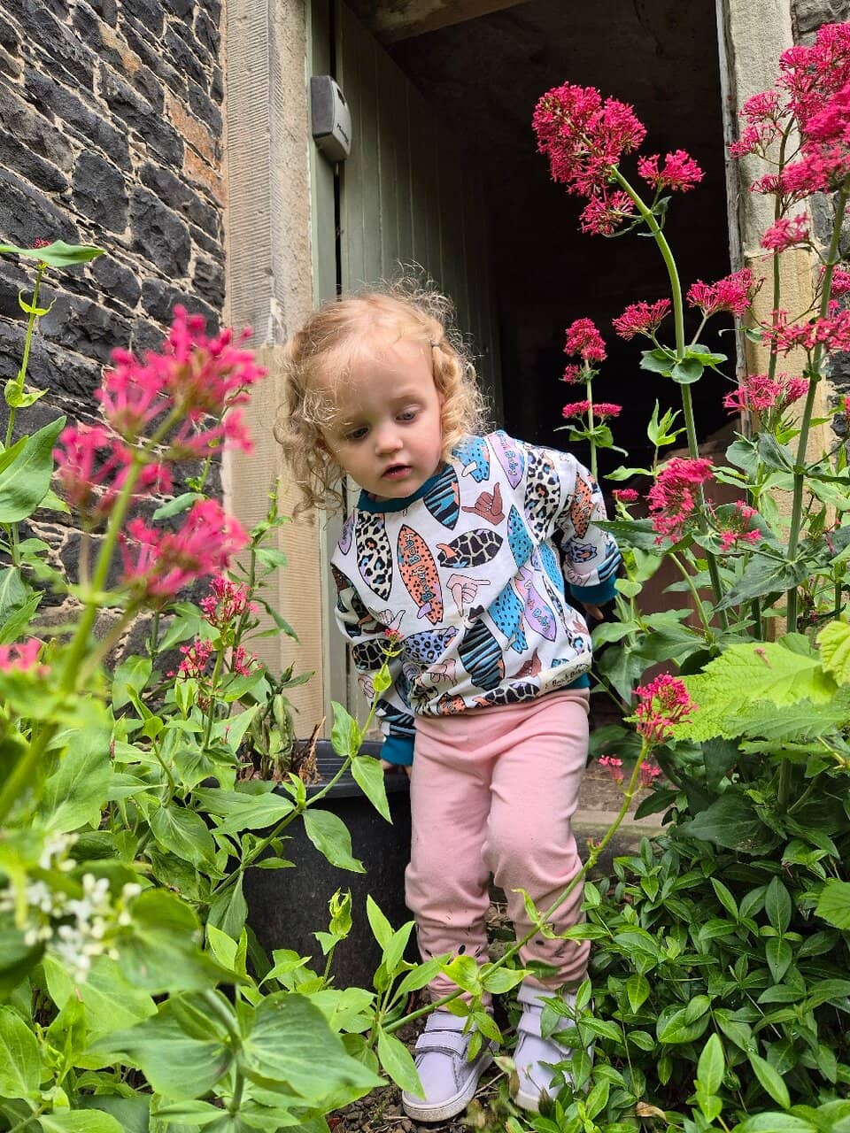 Harmony House Elegance