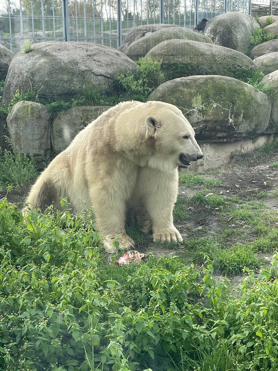 Safari Truck & Boat Rides