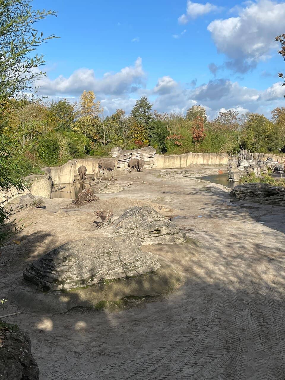 Interactive Animal Encounters