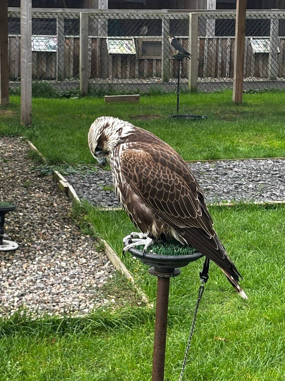 Tractor Trailer Tours