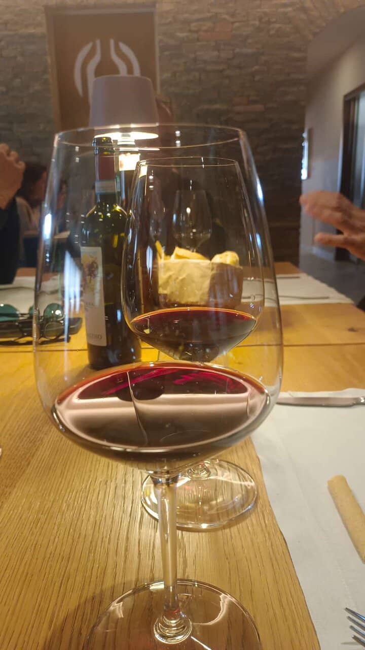 Vineyard Panoramas