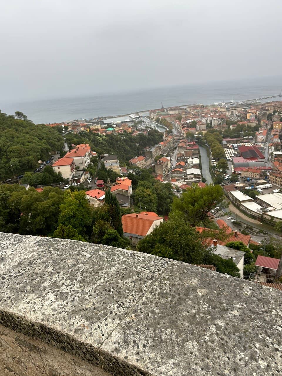Vertical photo