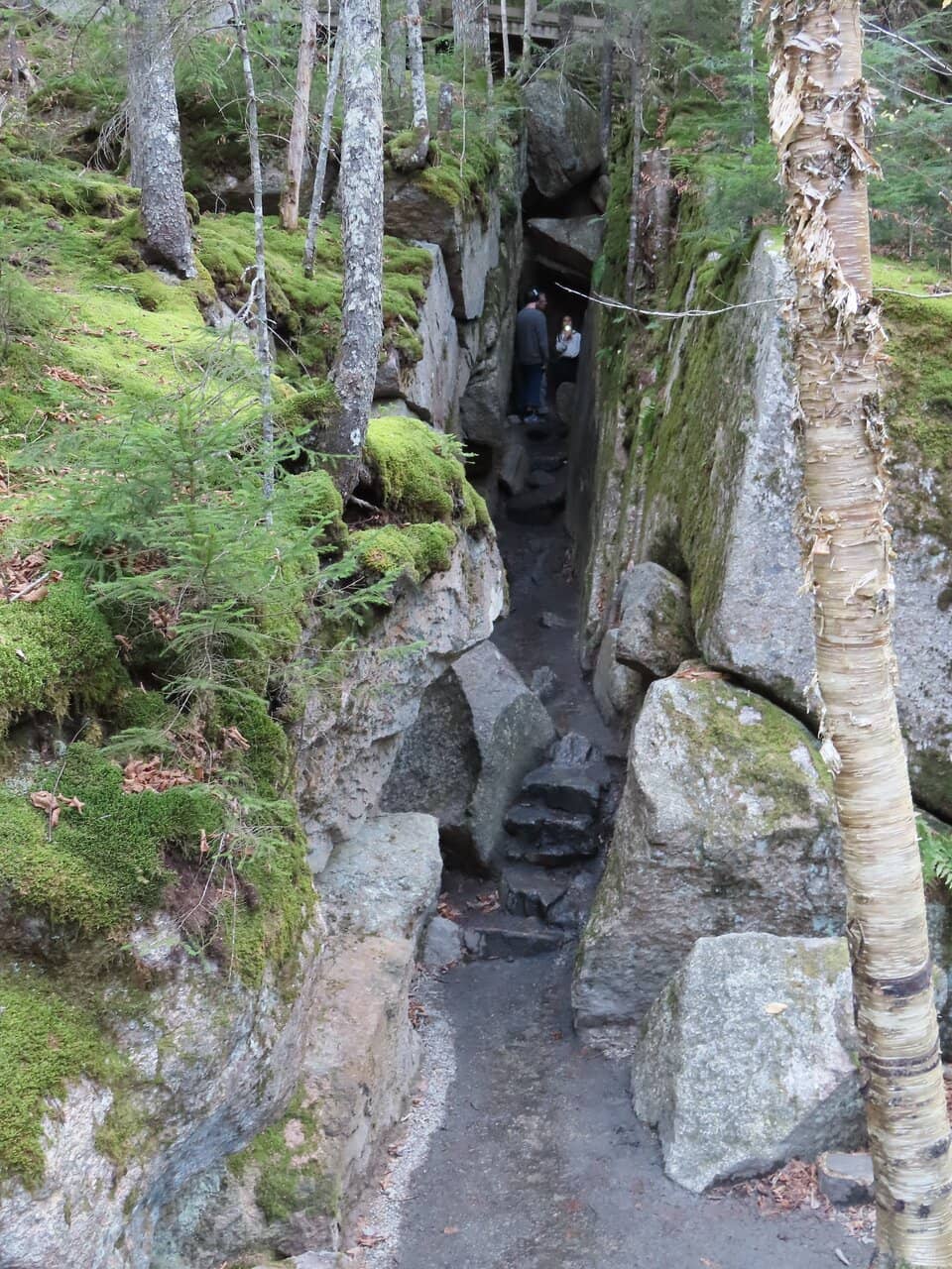 Avalanche Bridge