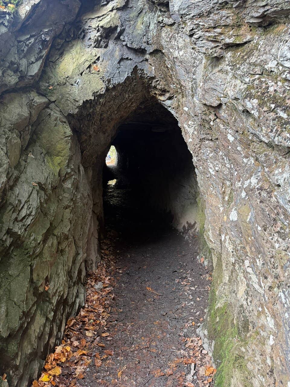 Scale Force Waterfall