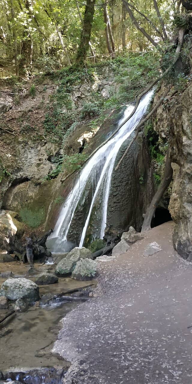 Vertical photo