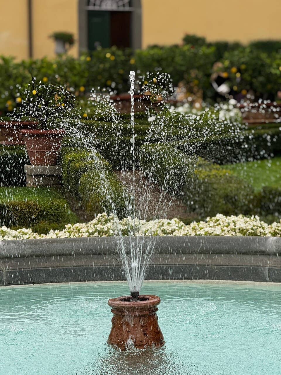 Chianti Classico Wine