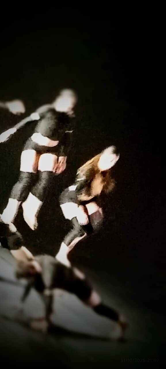 Diverse Performing Arts