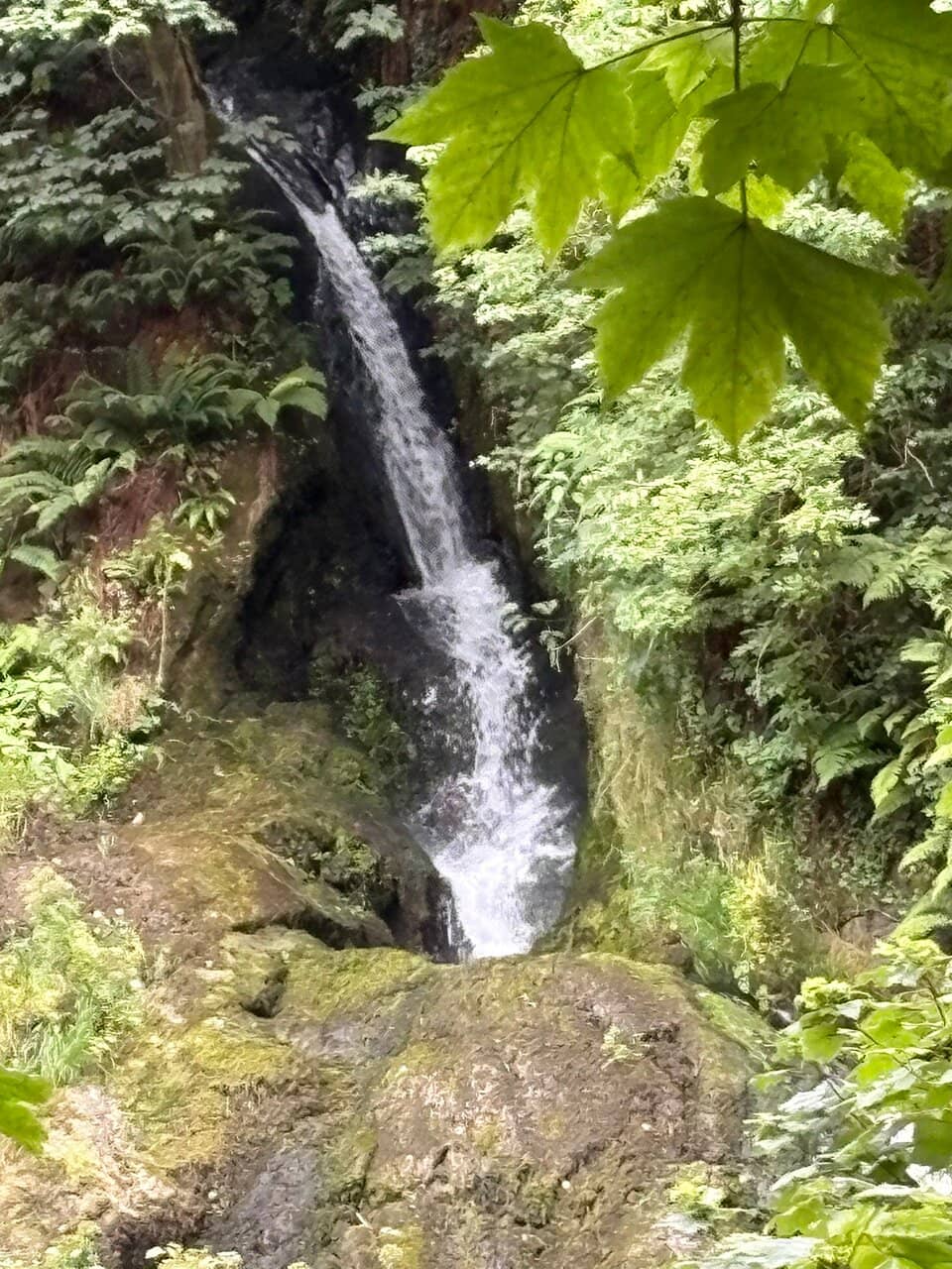 Jurassic Coastline Views