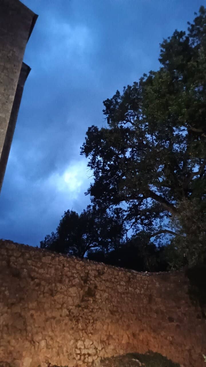 Vertical photo