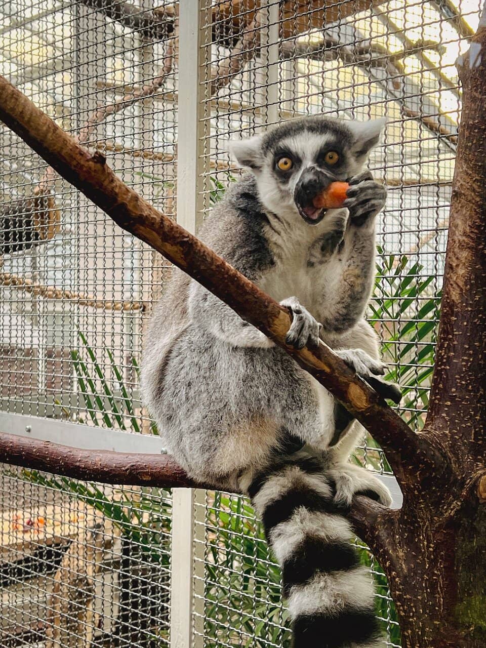 Charming Outdoor Park