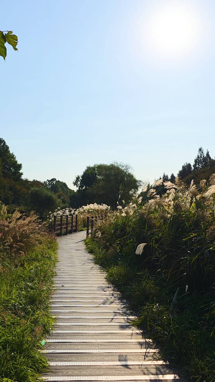 Maehon Citizen's Forest