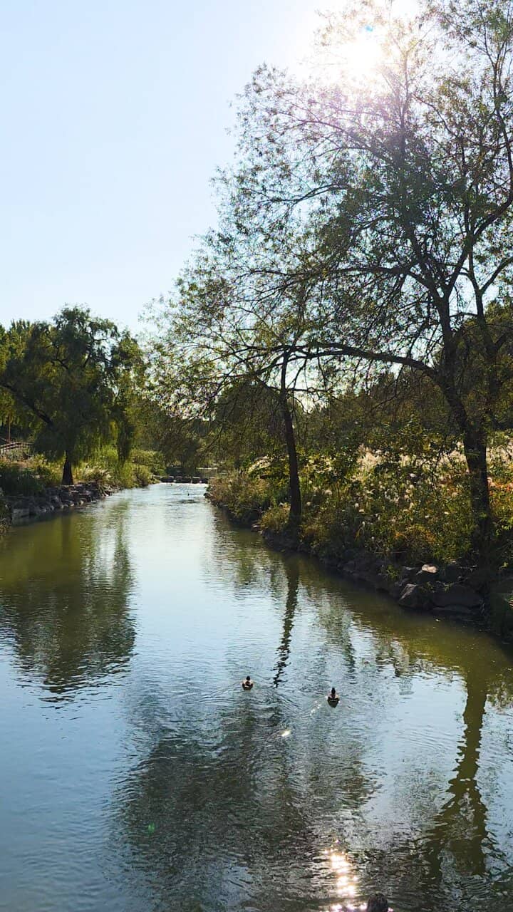 Yangjaecheon Stream Path