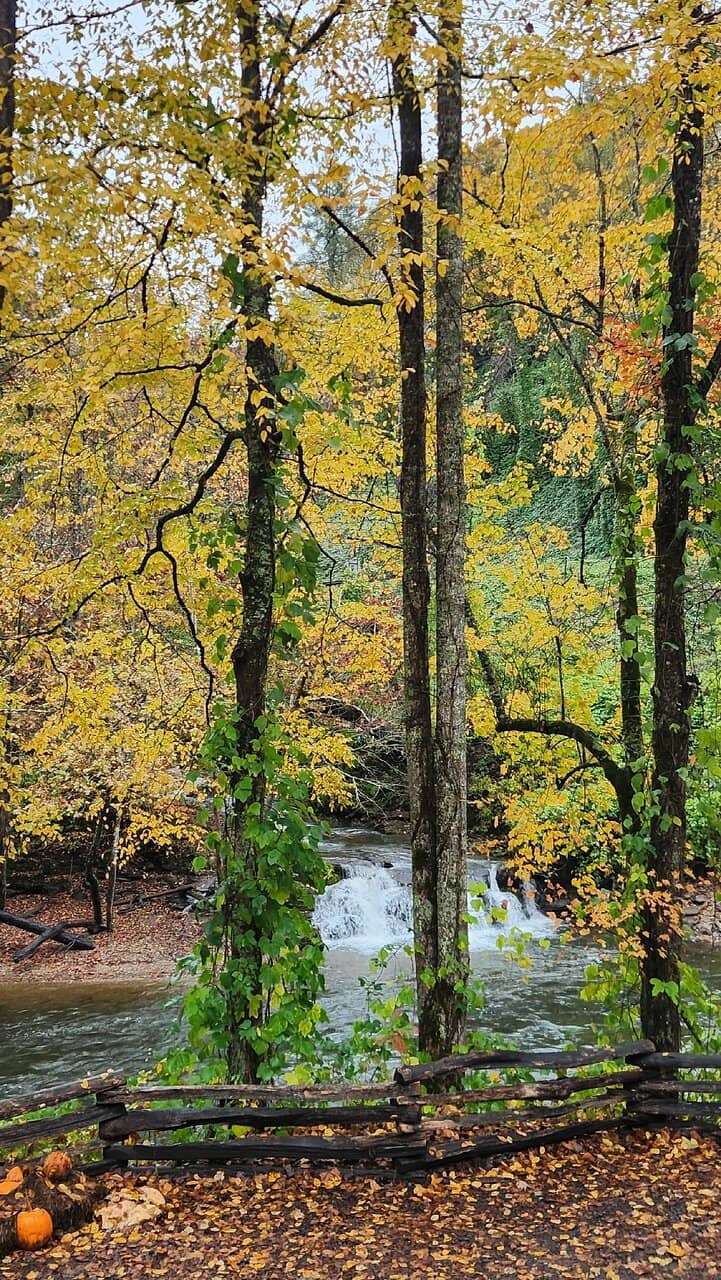 Moonshine Tasting Experience