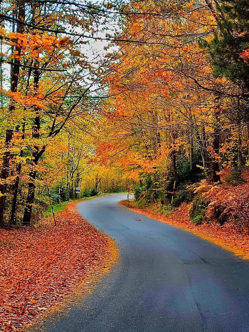 Prato delle Macinaie