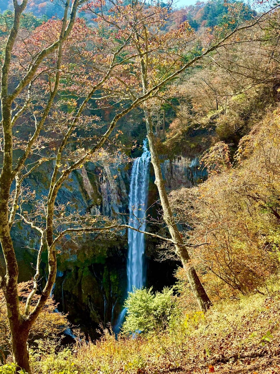 Vertical photo