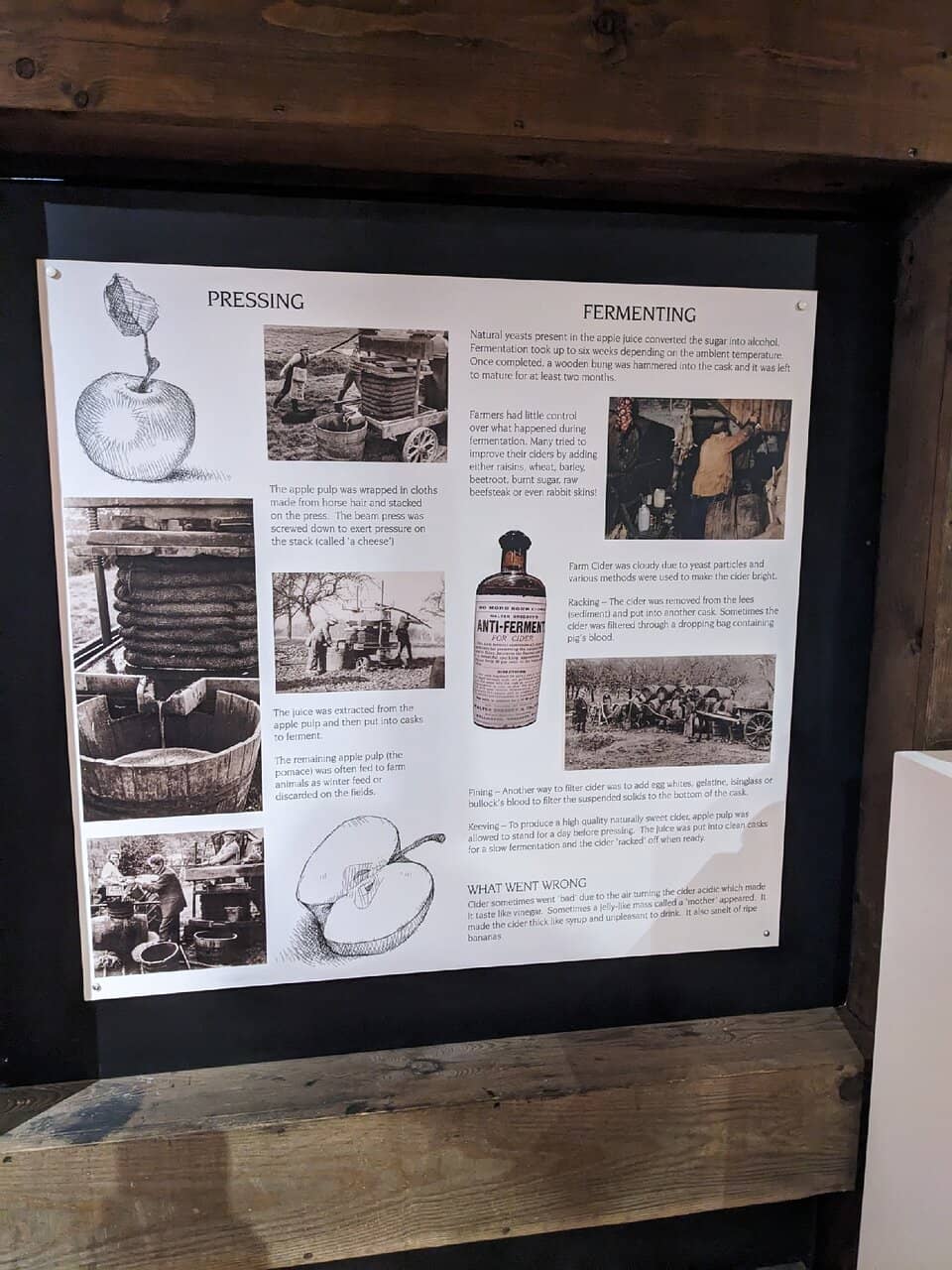 Cider Tasting & Shop