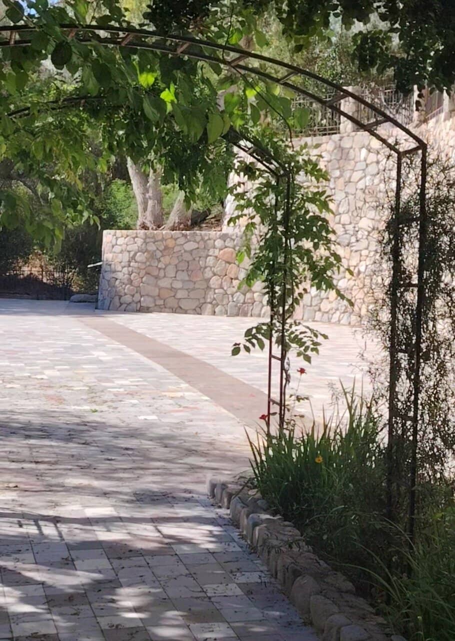 Delicious Wine Tastings