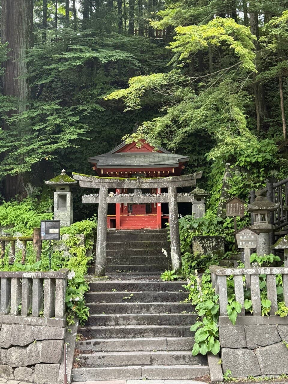 Vertical photo