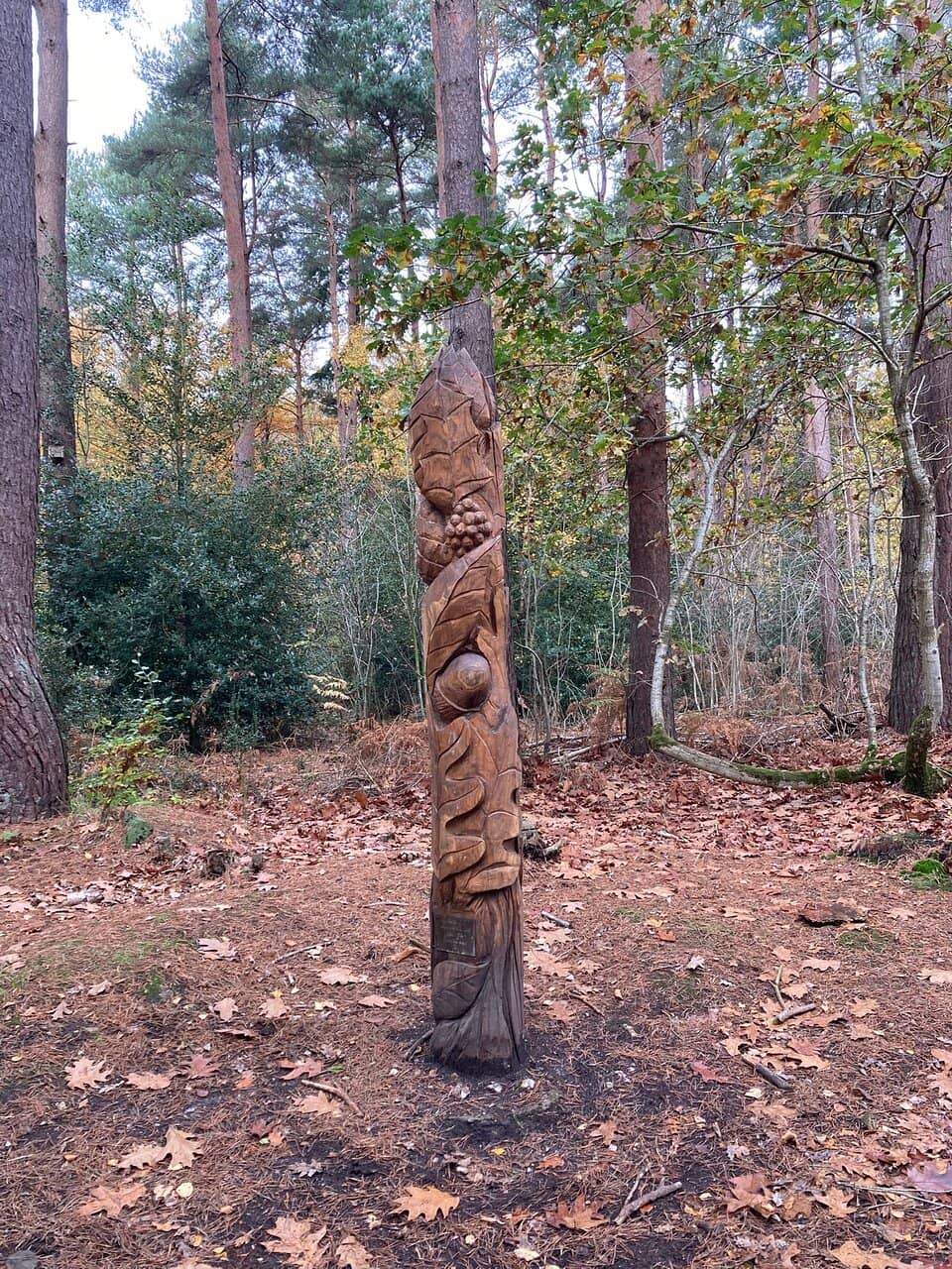 Wood Carvings