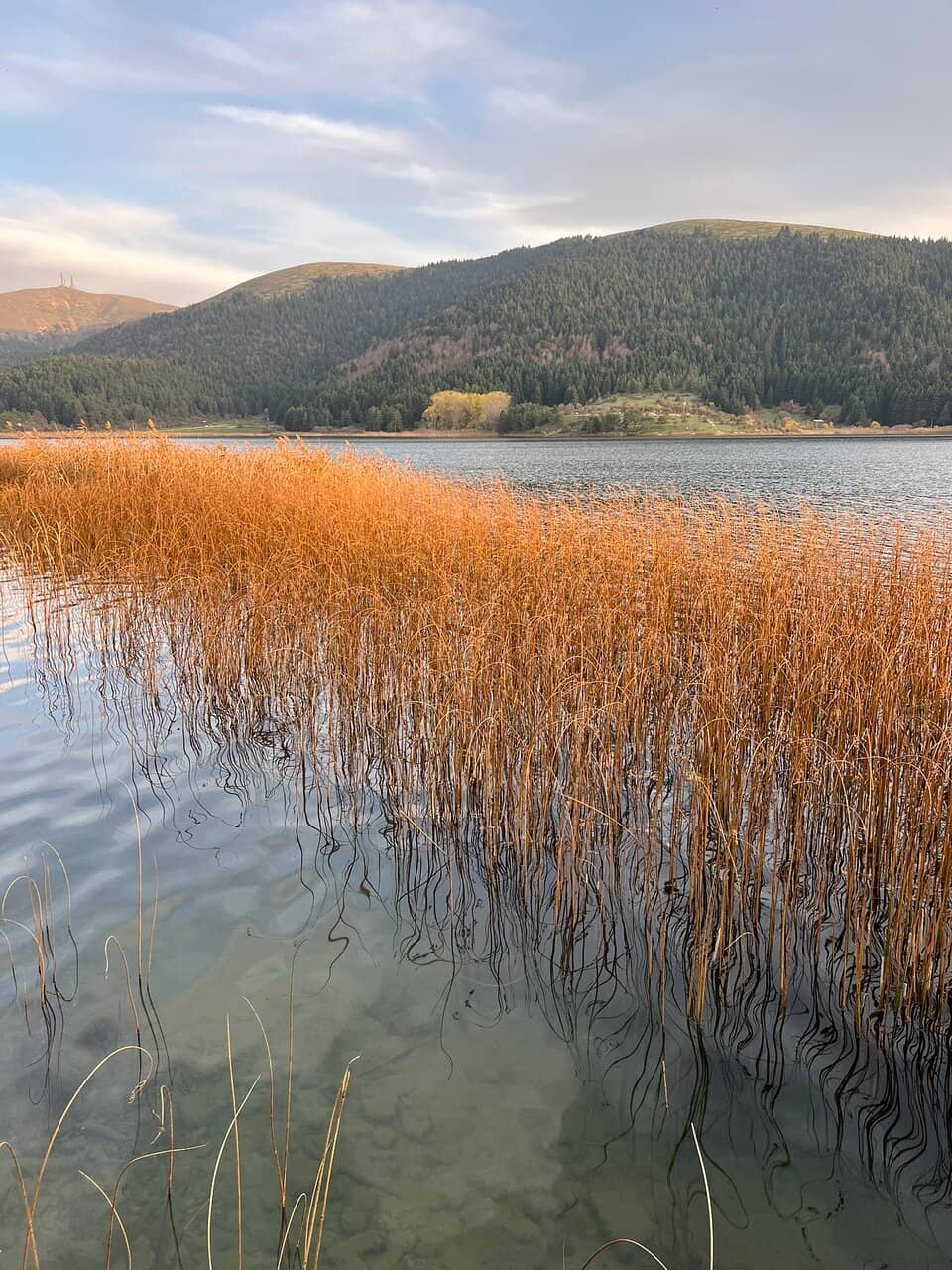 Autumn Foliage Spectacle
