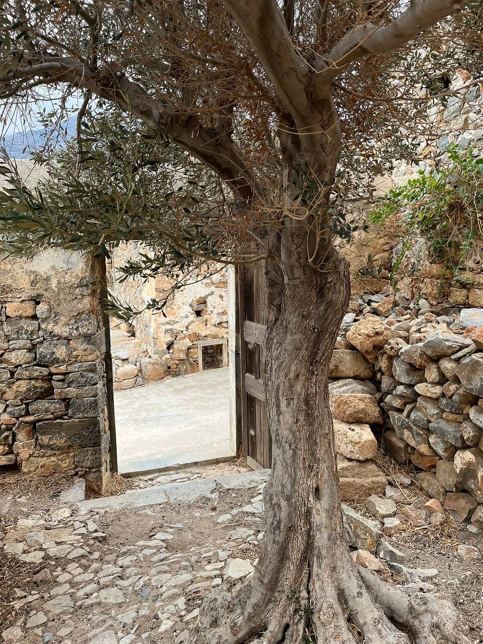 Abandoned Village