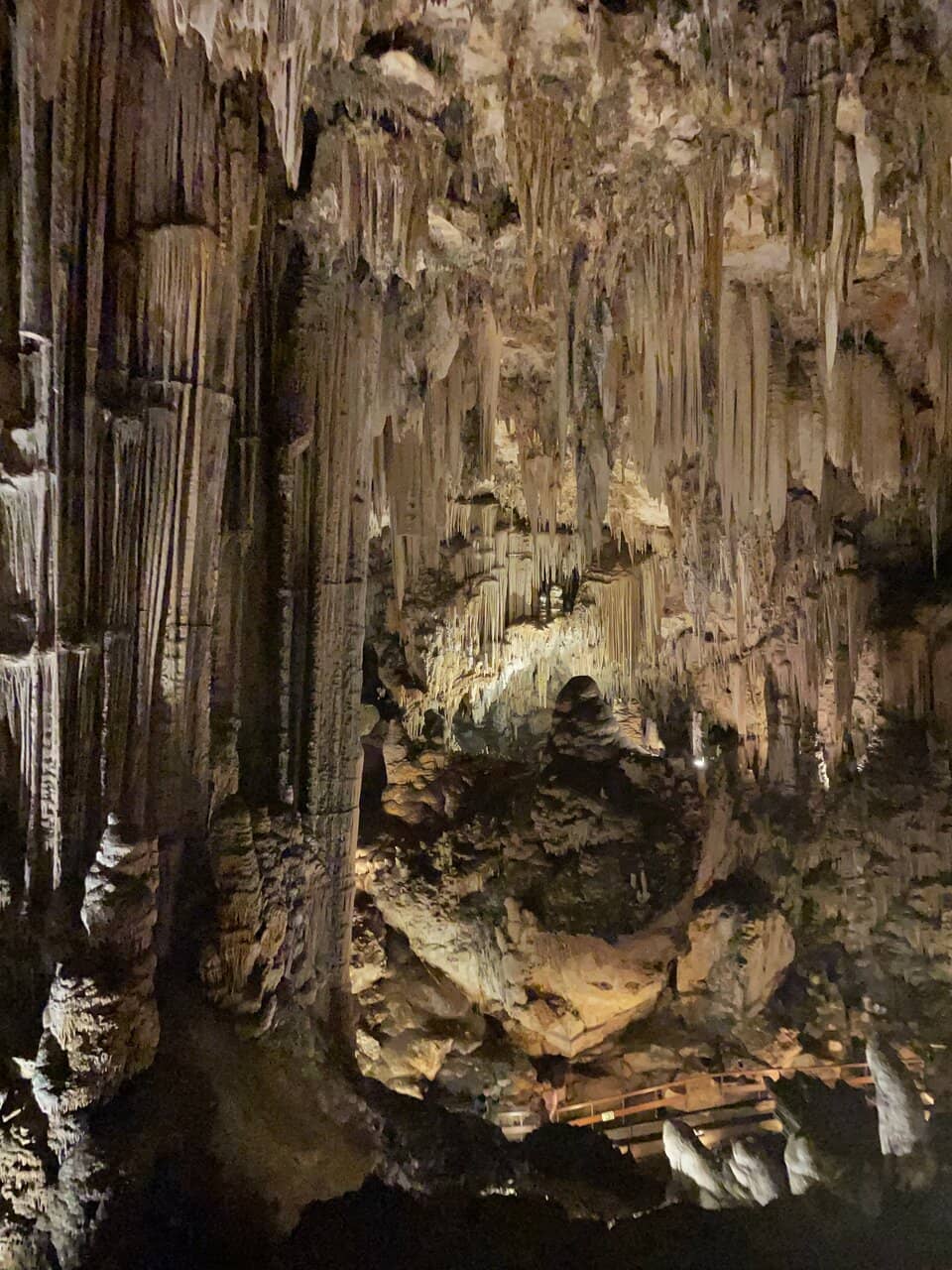 Vertical photo