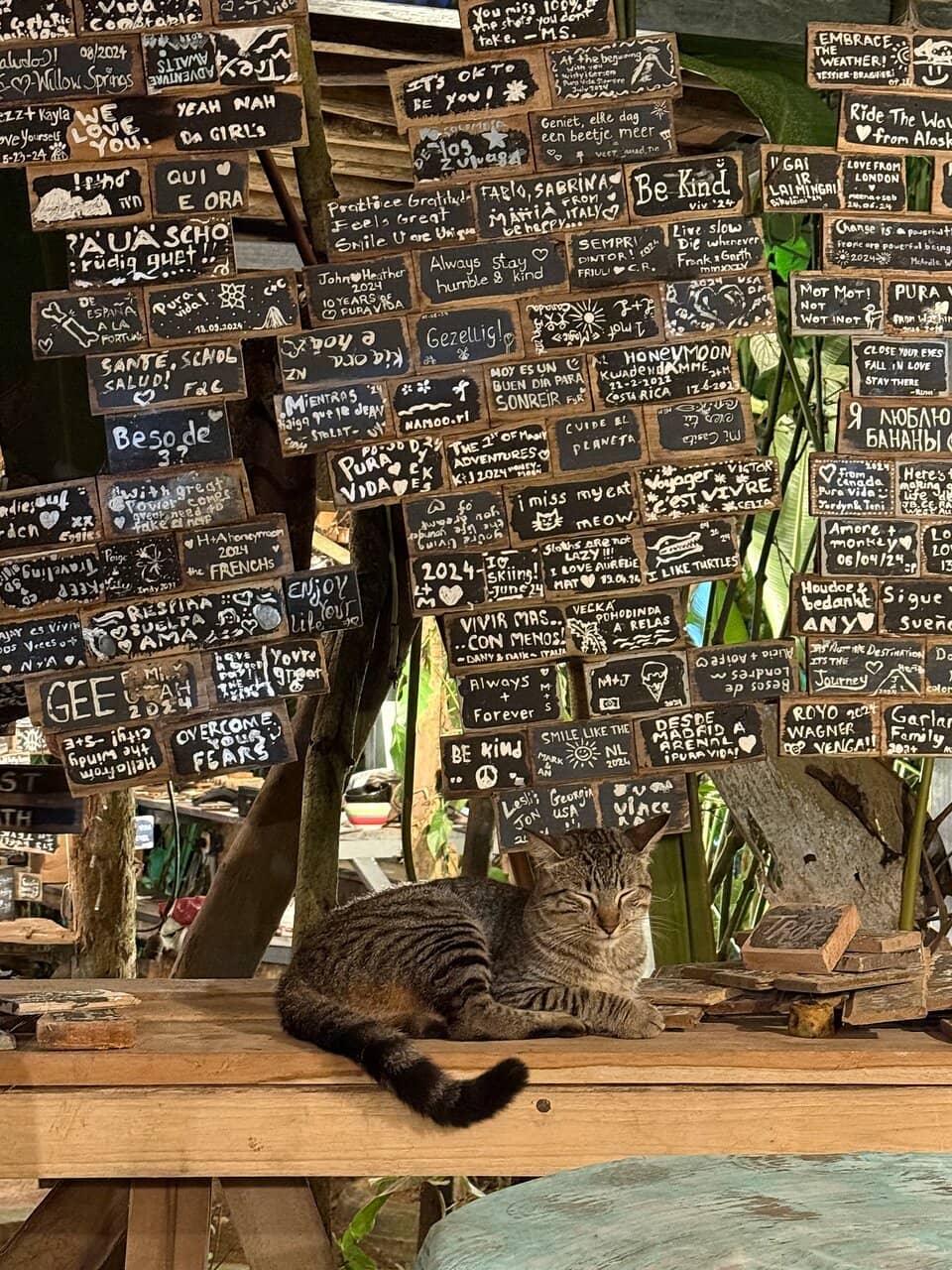 Personalized Message Plaques