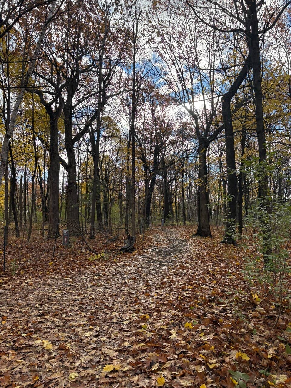 Snow Tubing & Winter Activities