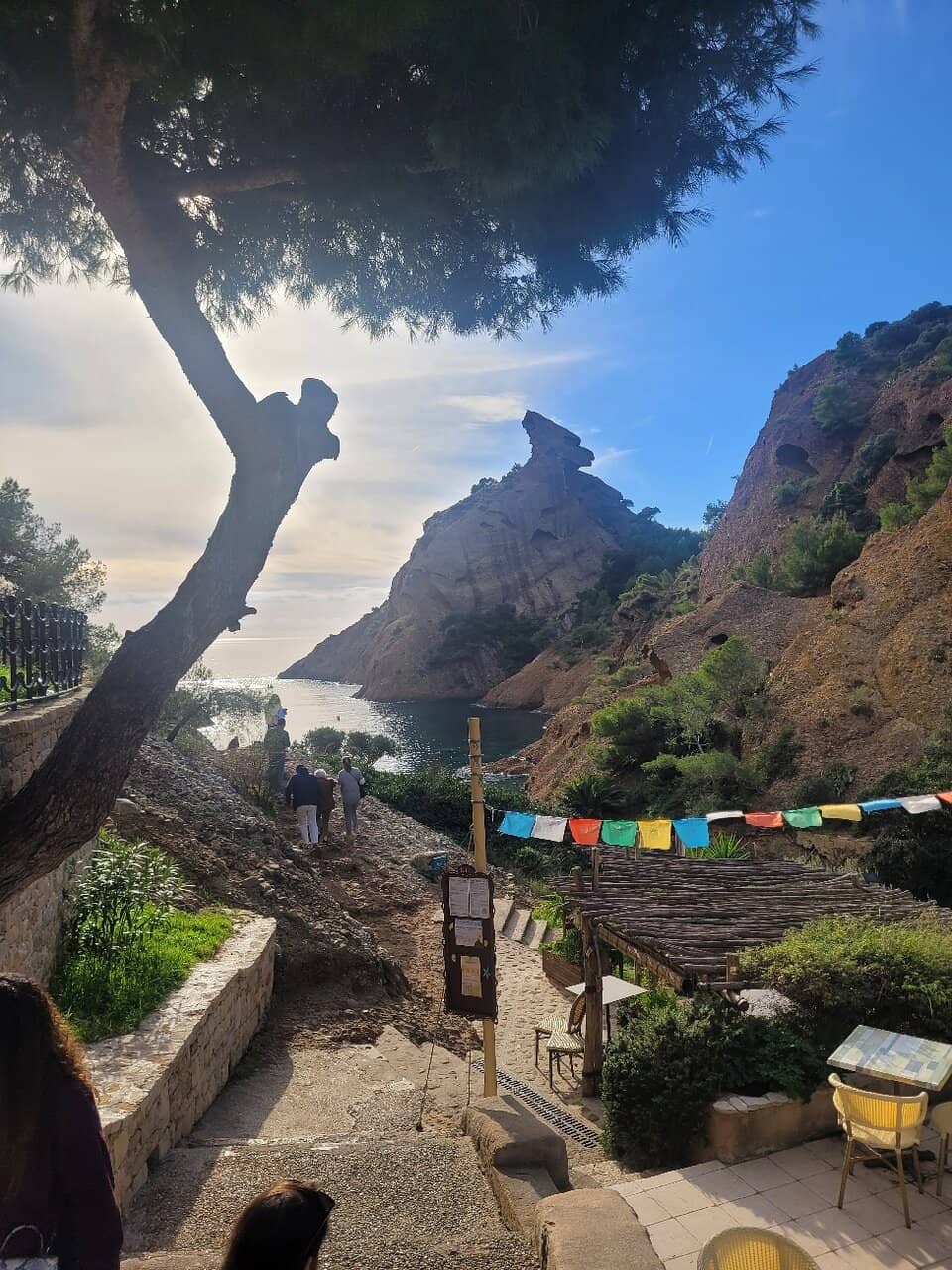 Vertical photo