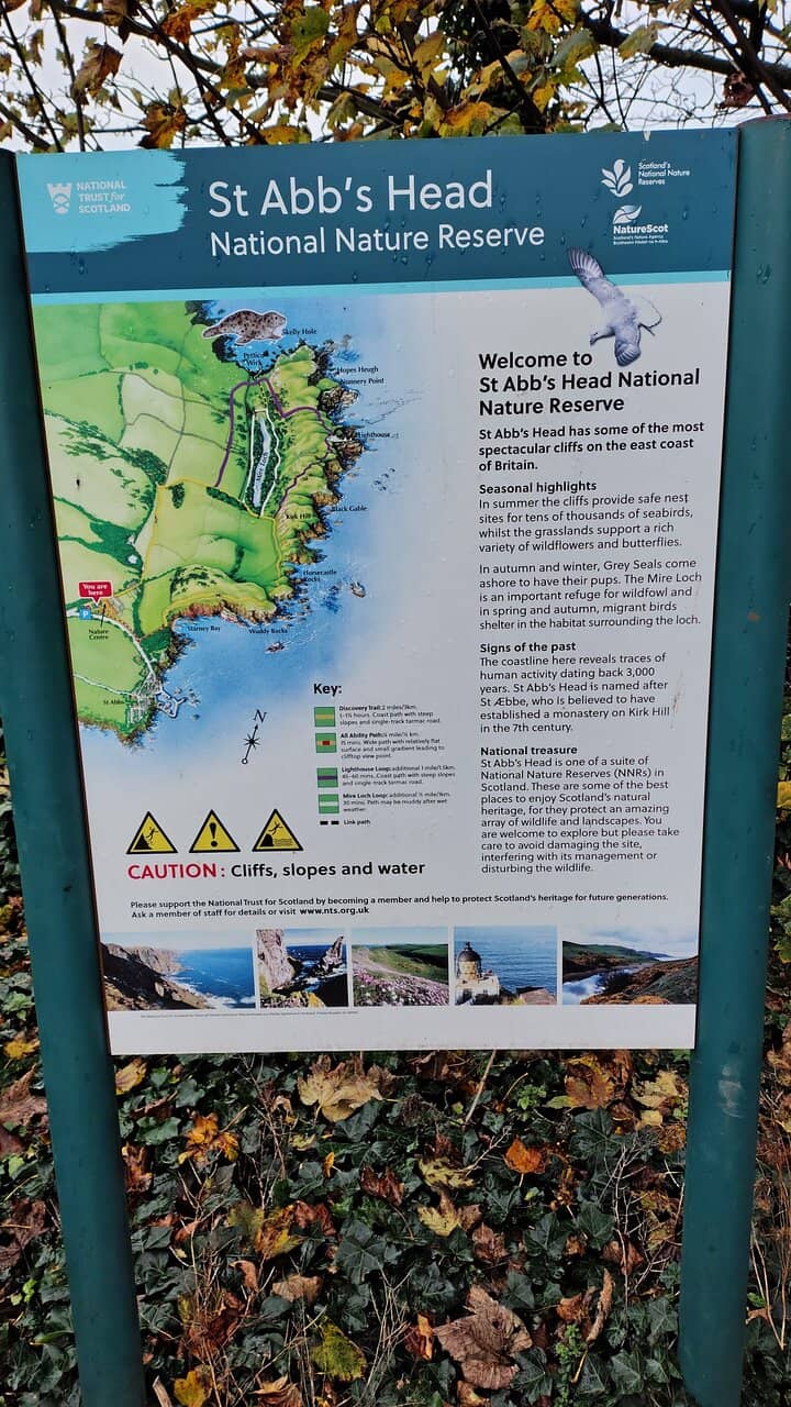 St Abb's Head Lighthouse