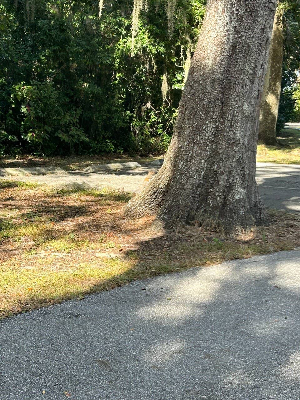 Vertical photo