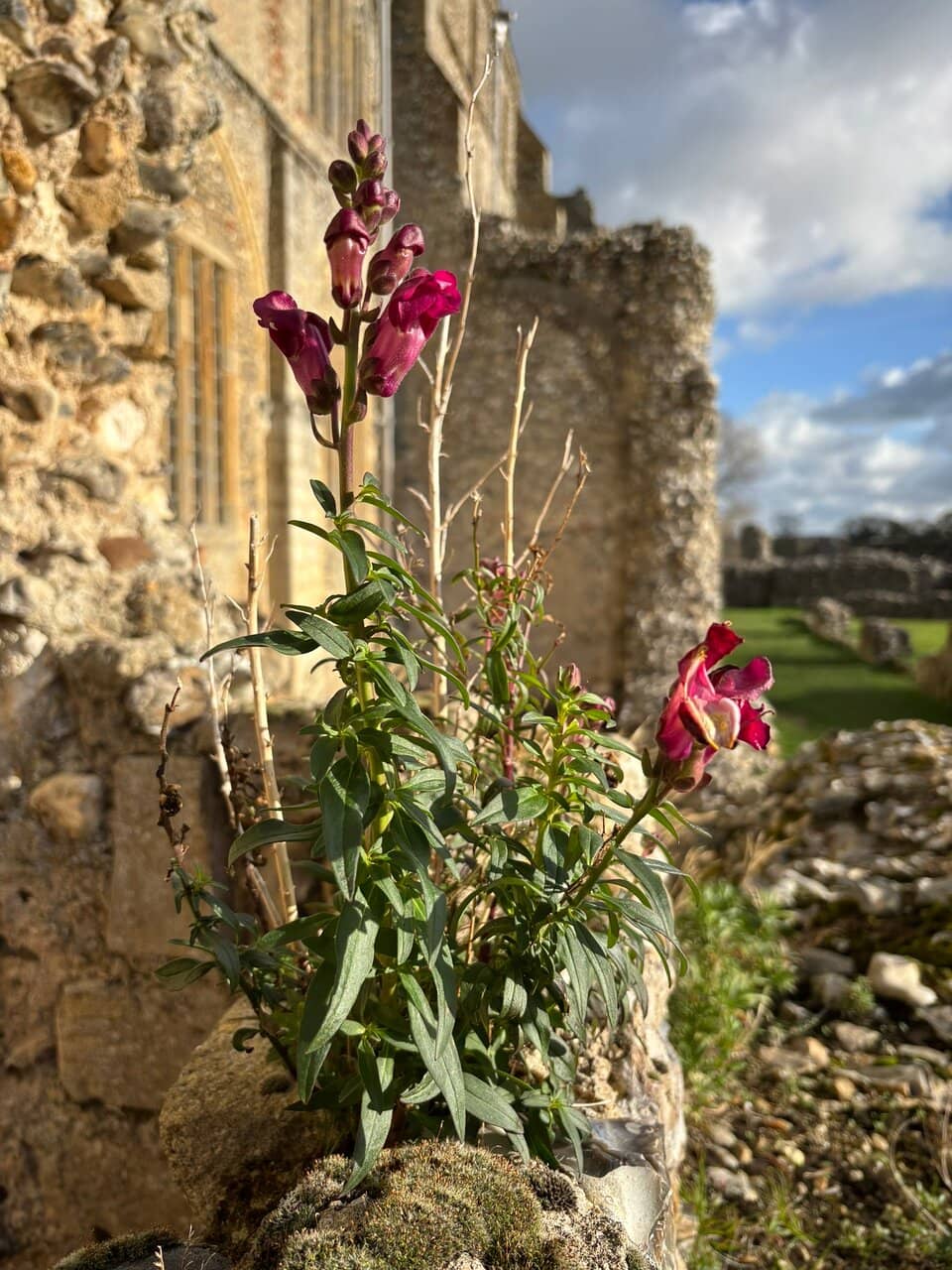 Vertical photo