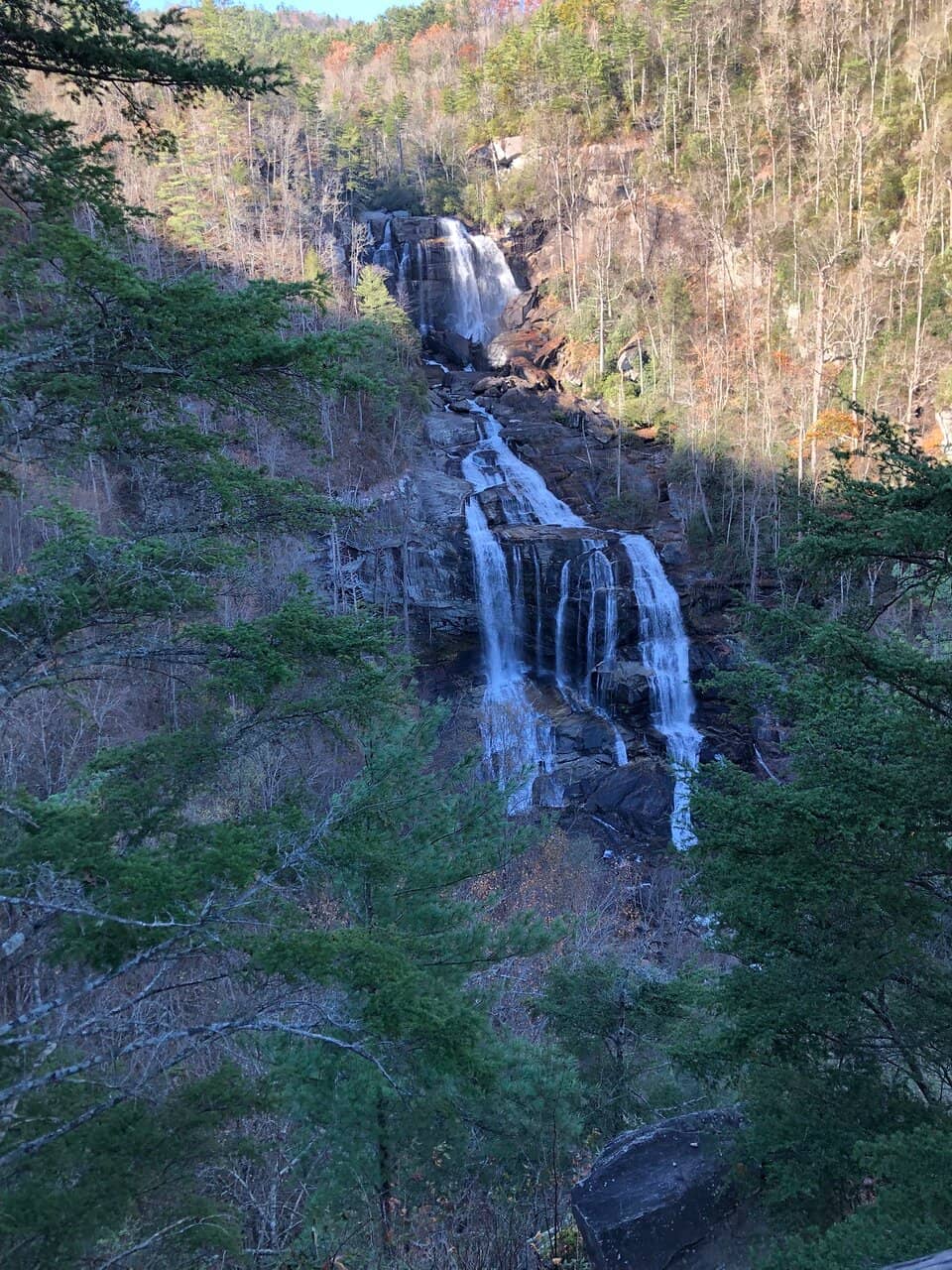 Vertical photo