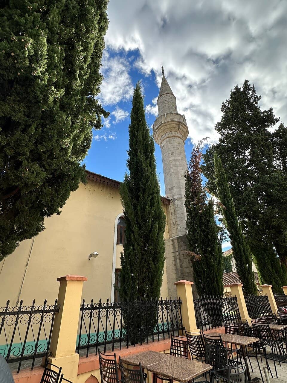 Vertical photo