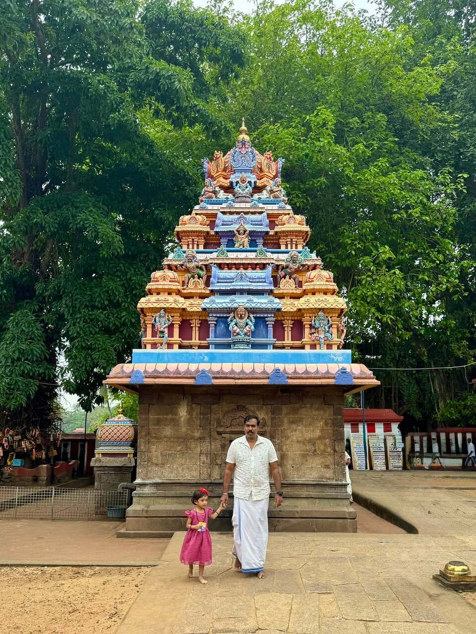 Temple Pond Serenity