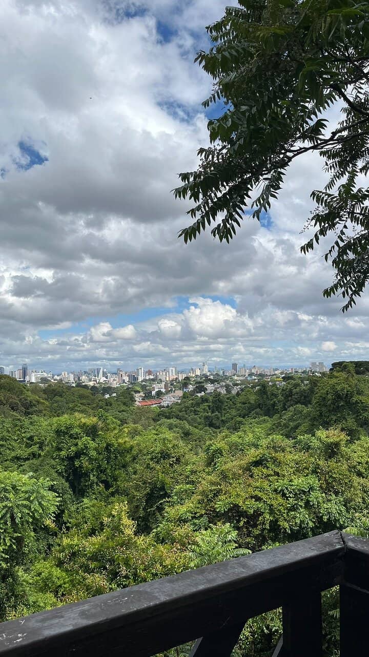 Witch's House & Library