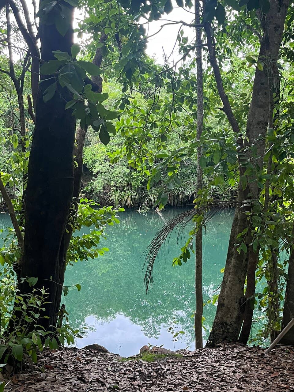 Nature Walks
