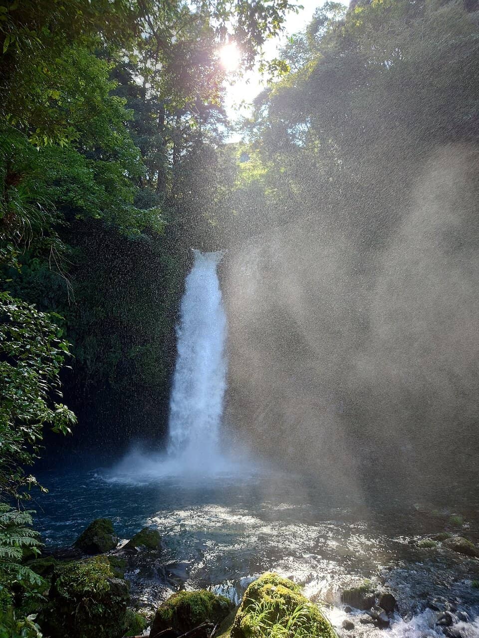 Vertical photo