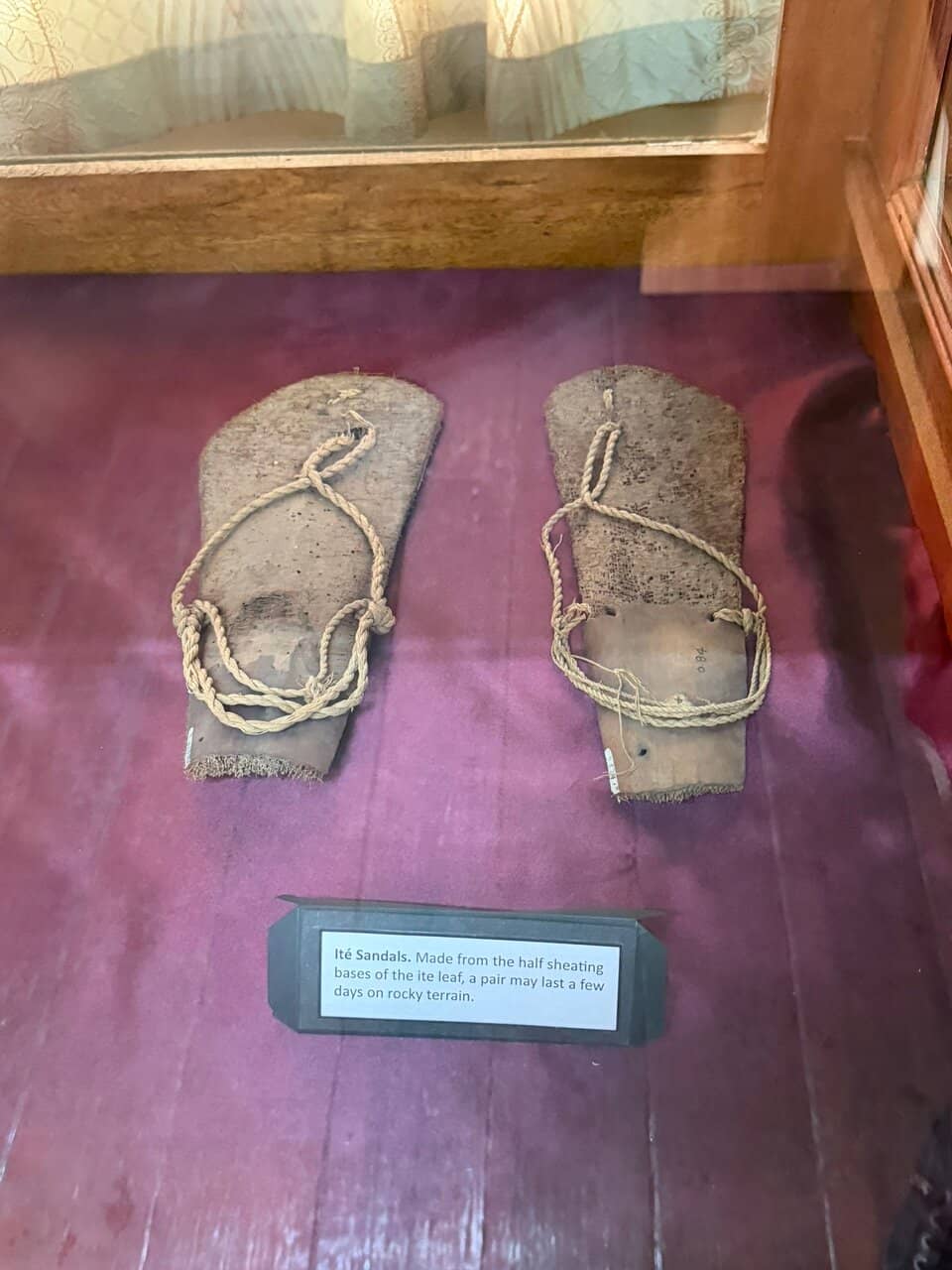 Anthropological History