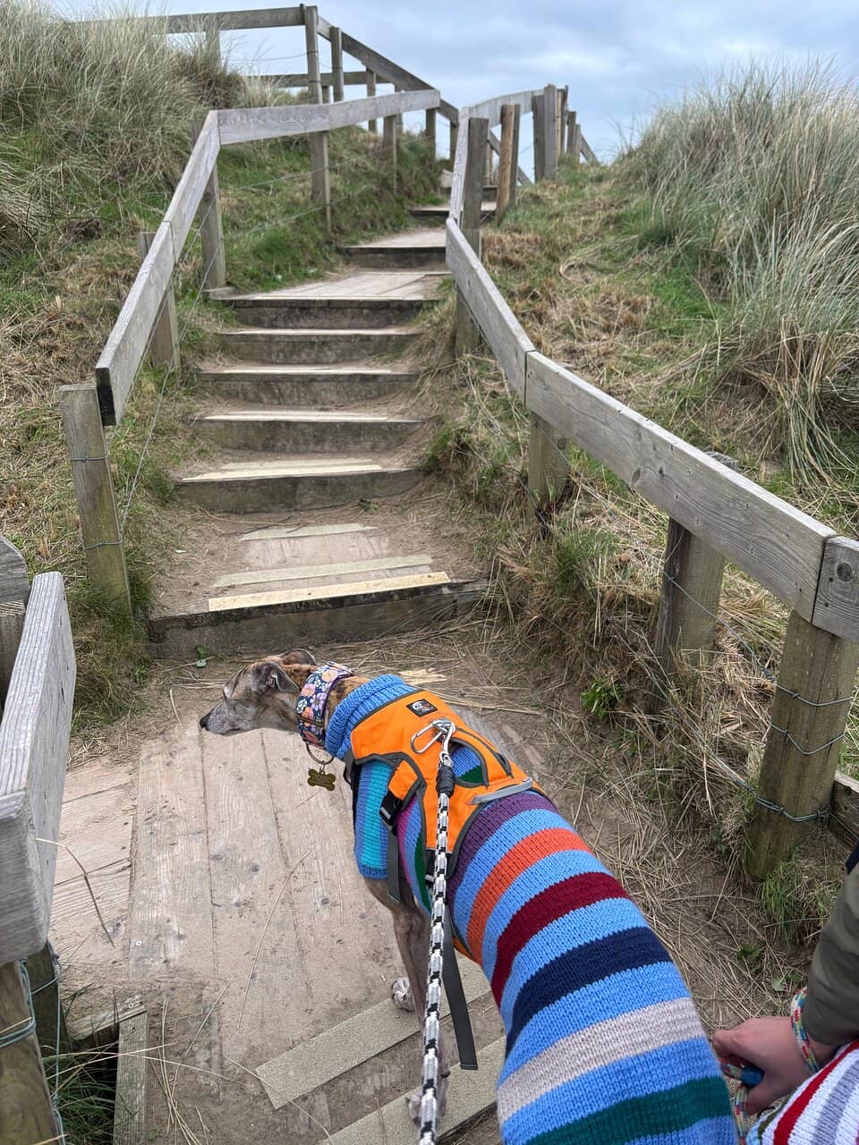 Coastal Views