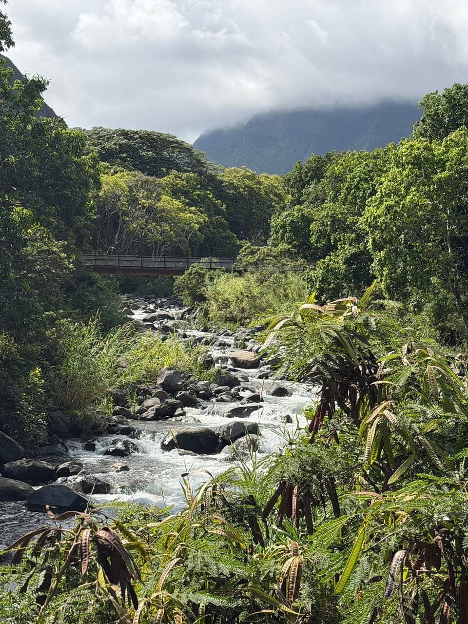 Themed Cultural Gardens
